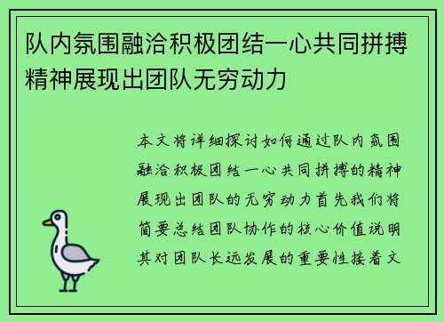 队内氛围融洽积极团结一心共同拼搏精神展现出团队无穷动力